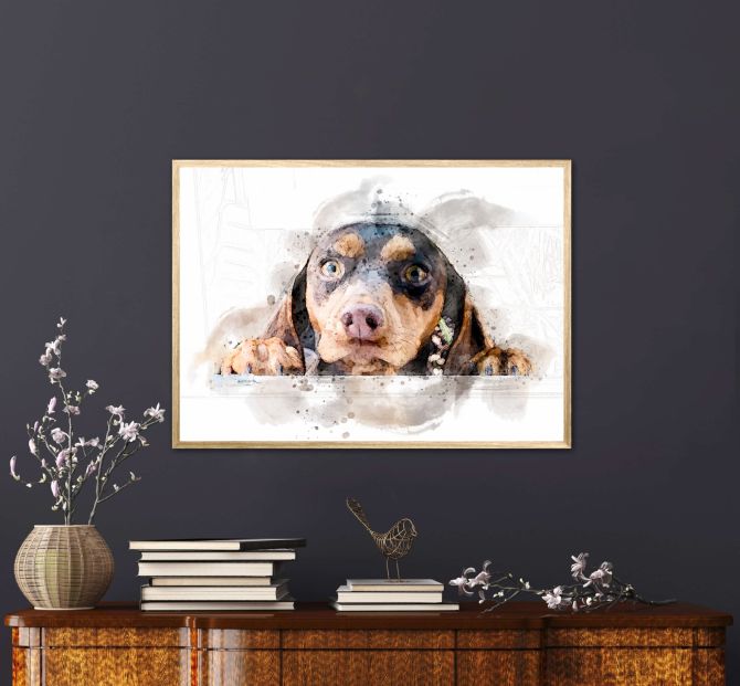 Meerkat Framed Print