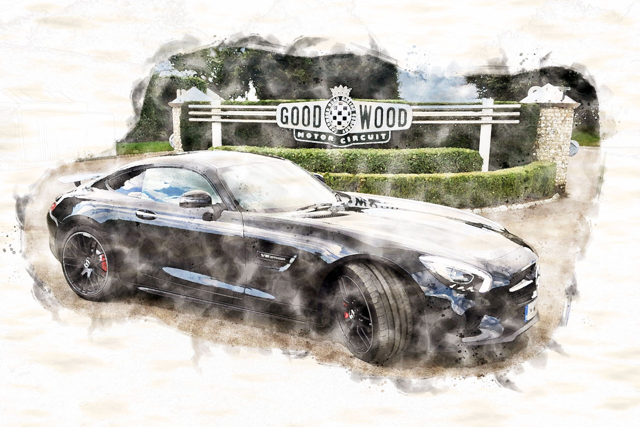 Mercedes AMG GT at Goodwood