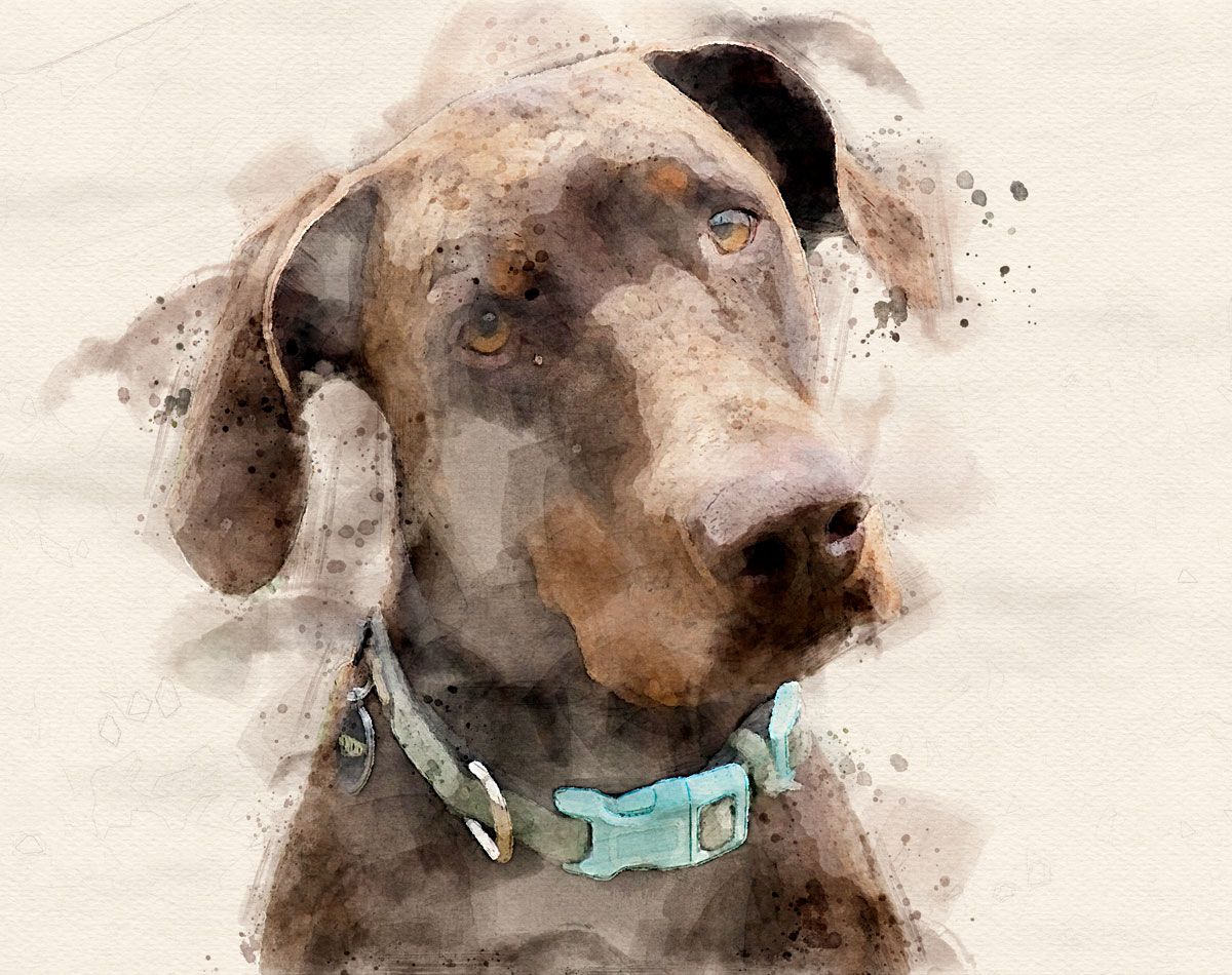 Dino Doberman in Watercolour
